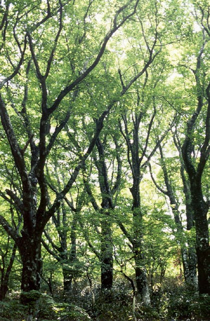 スポットの写真