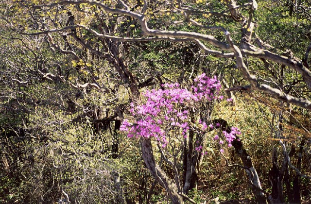 スポットの写真