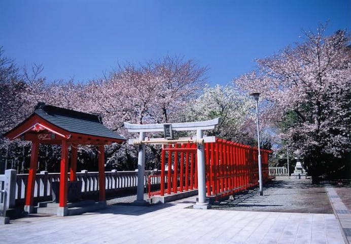 割狐塚稲荷神社