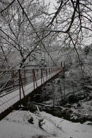 駿河平自然公園