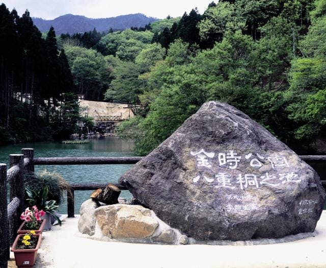 スポットの写真