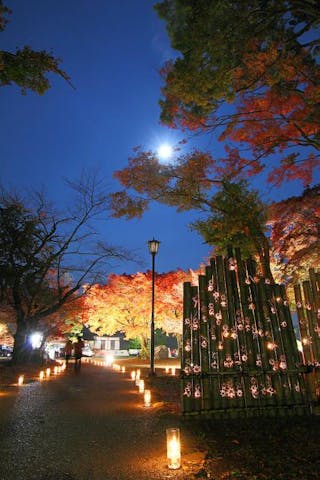 【2020年事業縮小】豊門公園もみじまつり