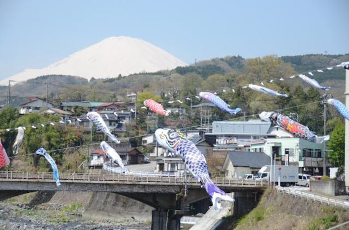 富士山金太郎春まつり　こいのぼり掲出