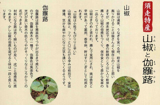 スポットの写真