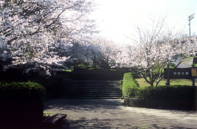 スポットの写真