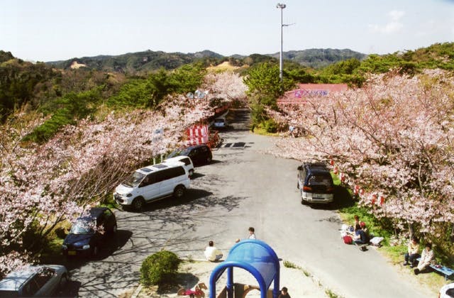 スポットの写真