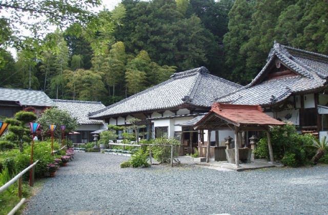 スポットの写真