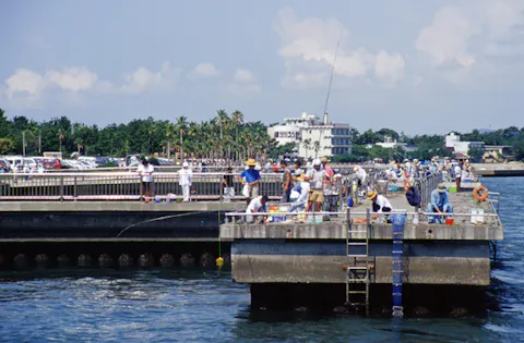 浜松 浜名湖にある漁業 魚市場 一覧 観光 おでかけの予約は アソビュー 浜松 浜名湖にある漁業 魚市場 一覧 観光 おでかけの予約は アソビュー