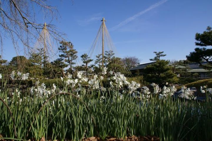 白鳥庭園のお正月