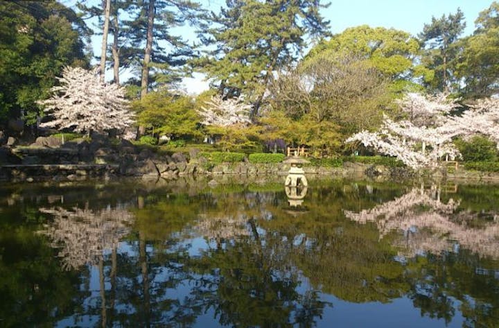 【2021年中止】中村公園夏まつり