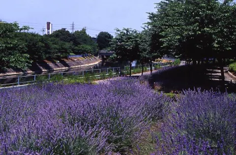 スポットの写真