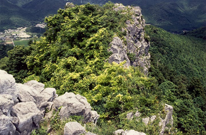 石巻山石灰岩地植物群落