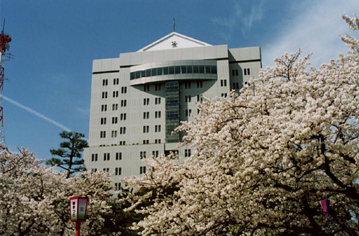 豊橋公園の桜