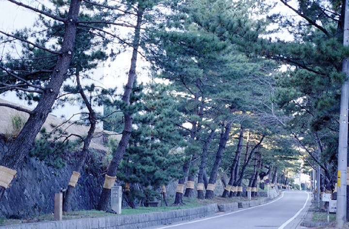 旧東海道（藤川宿）