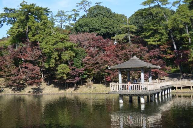 スポットの写真