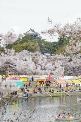 岡崎の桜まつり