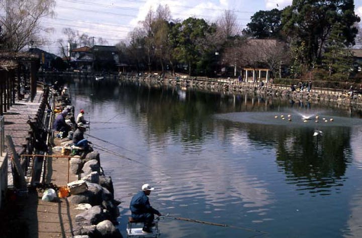 浅井山公園