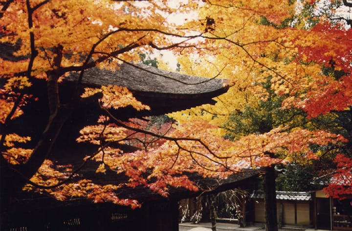 定光寺・岩屋堂もみじまつり