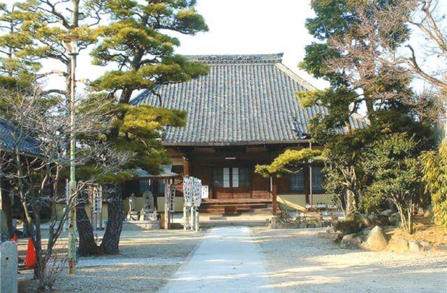 スポットの写真