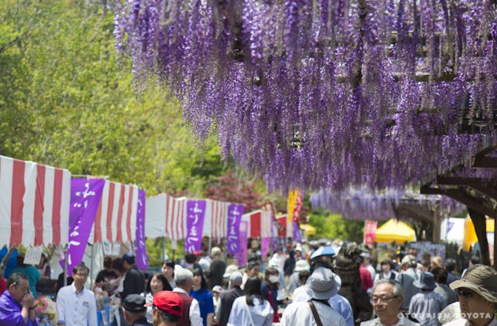 ふじまつり（愛知県豊田市）