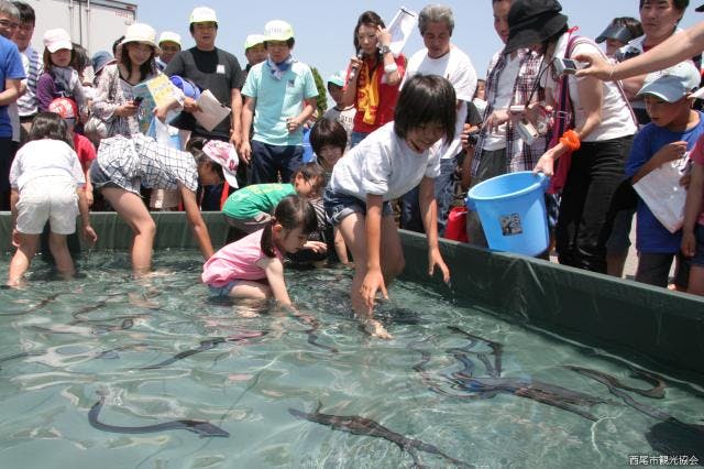 スポットの写真