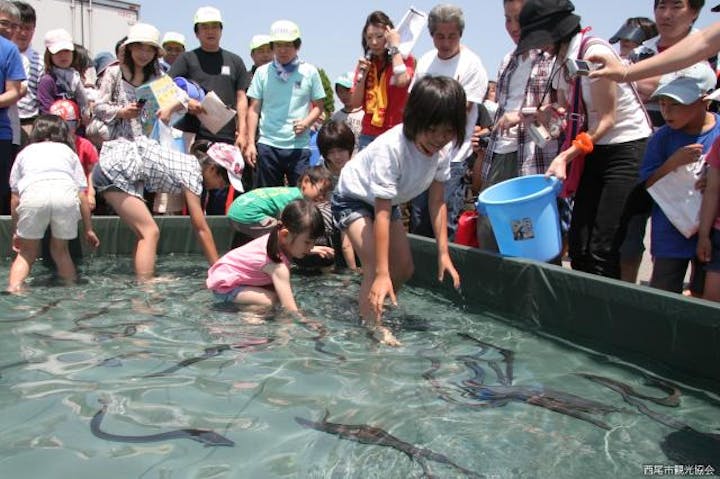 【未定】三河一色みなとまつり