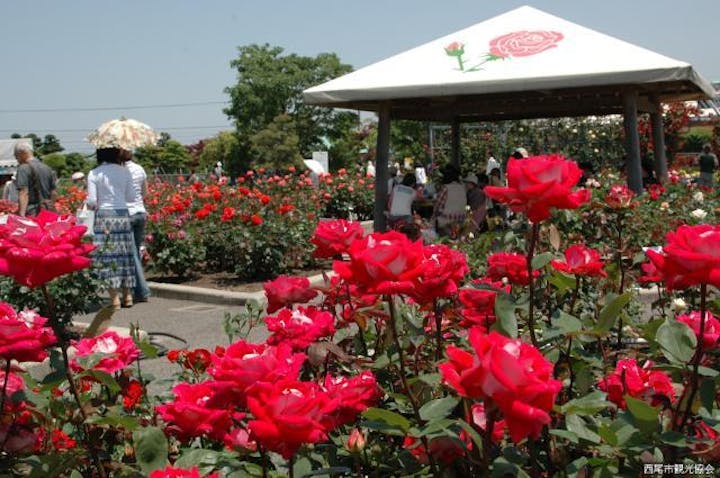 西尾市憩の農園・バラ園