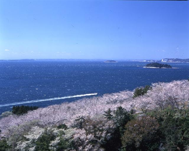 スポットの写真