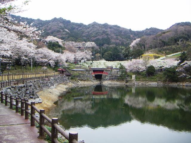 スポットの写真