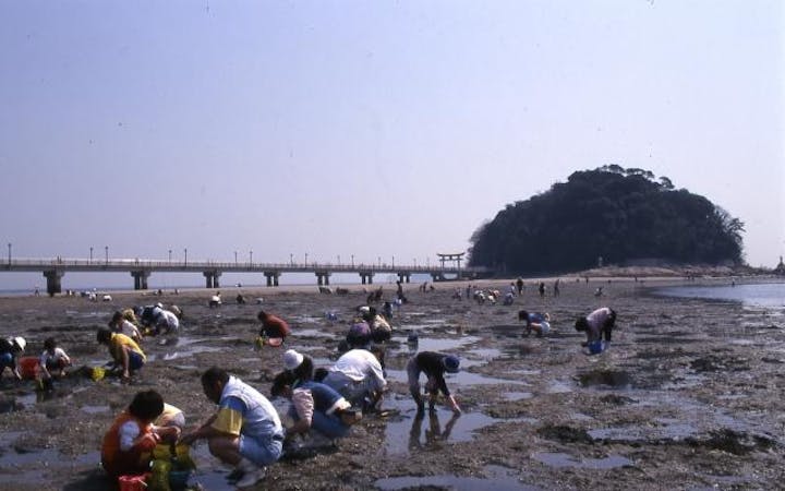 潮干狩り（竹島海岸）