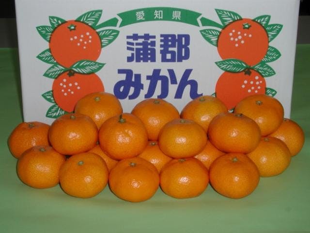 スポットの写真