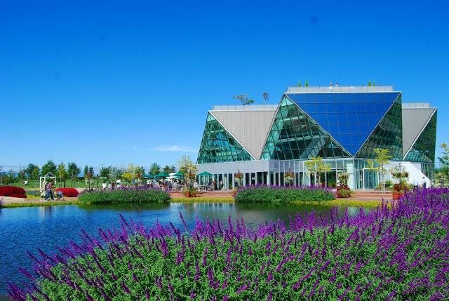 スポットの写真