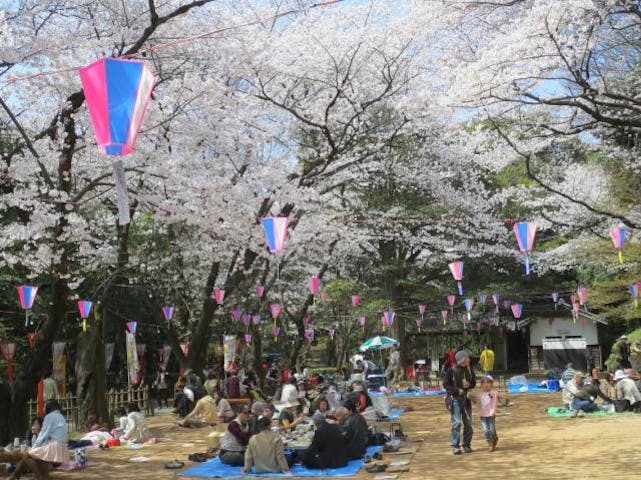 小牧山春のキャンペーン