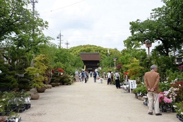 【2021年中止】いなざわ植木まつり　〜グリーンフェスティバル〜