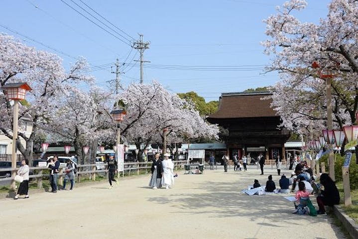 【2021年中止】稲沢桜まつり