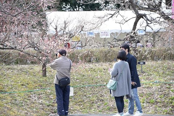 【2021年縮小開催】いなざわ梅まつり