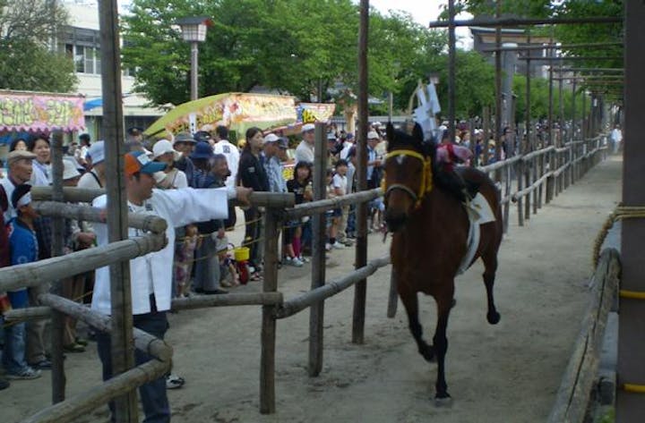 梅酒盛神事（馬まつり）