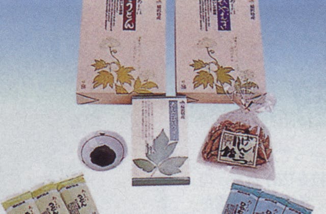 スポットの写真