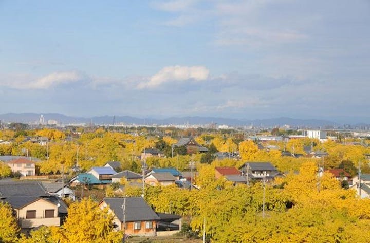 【2021年中止】そぶえイチョウ黄葉まつり