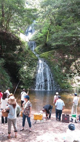 阿寺の七滝まつり
