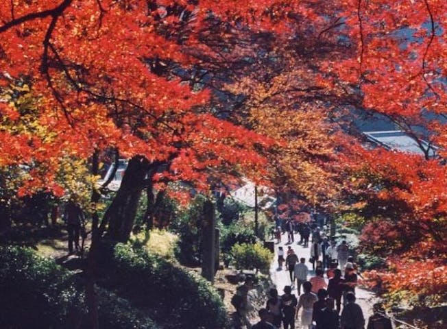 鳳来寺山もみじまつり