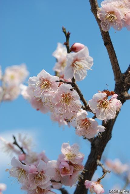 スポットの写真