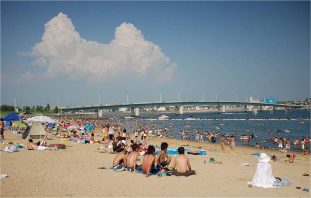 スポットの写真