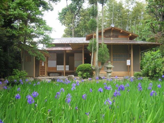 【2021年は縮小開催】史跡八橋かきつばたまつり