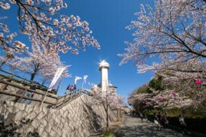 尾張旭・城山公園さくらまつり