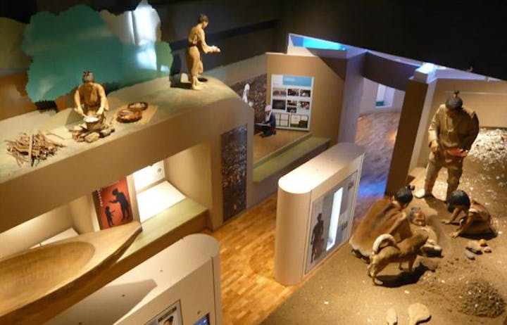 吉胡貝塚史跡公園「シェルマよしご」