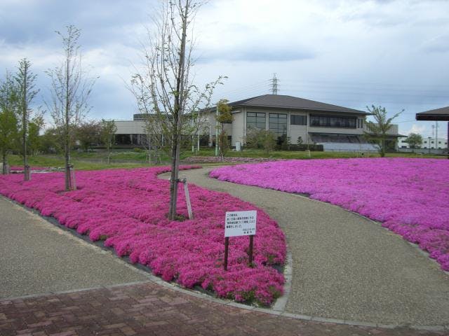 三ツ又池公園