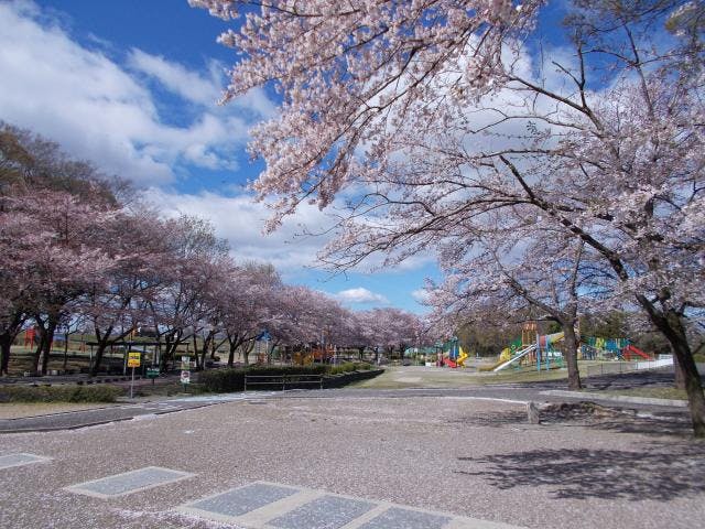 木曽川扶桑緑地公園 アソビュー 木曽川扶桑緑地公園 アソビュー