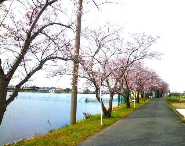 佐屋川河畔 文学散歩道