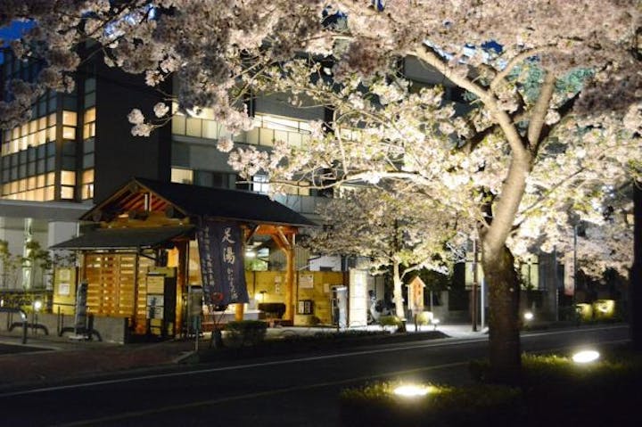 夜桜ライトアップ（愛知県蟹江町）